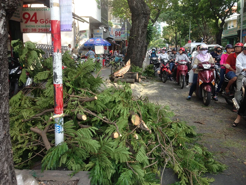 Lực lượng chức năng nhanh chóng có mặt tiến hành dọn dẹp hiện trường, khắc phục sự cố. 